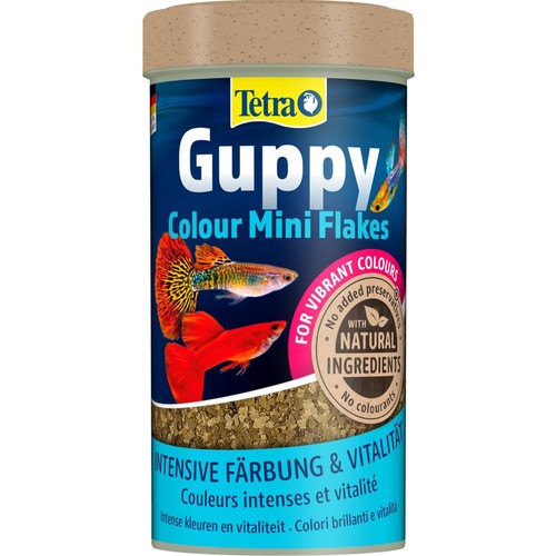 Tetra guppy colour mini - colour,