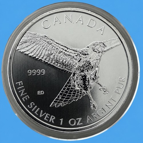2015 birds prey - of,