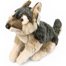 SOS SAVE OUR SPACE Wolf Leosco