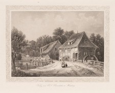 GRAY (*1813) nach LAEISZ