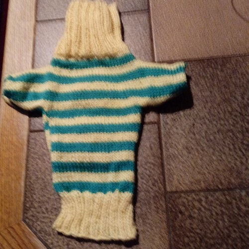 Hunde pulli - hunde,
