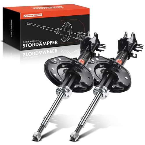 Stoßdämpfer gasdruck - 2x,