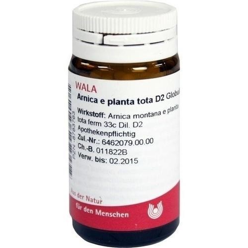 Arnica planta tota 2 - arnica, e