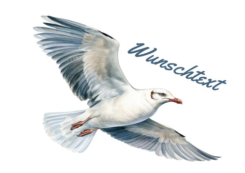 Möwe maritim autoaufkleber - maritim, autoaufkleber/