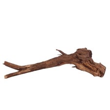 XL Driftwood Flußwurzel