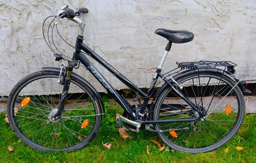 Jugend rad fahrrad - fahrrad, pegasus