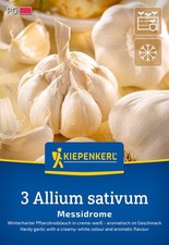 Kiepenkerl 611429 Knoblauch Messidrome (3 Stück) (Winter-Pflanzknoblauch)