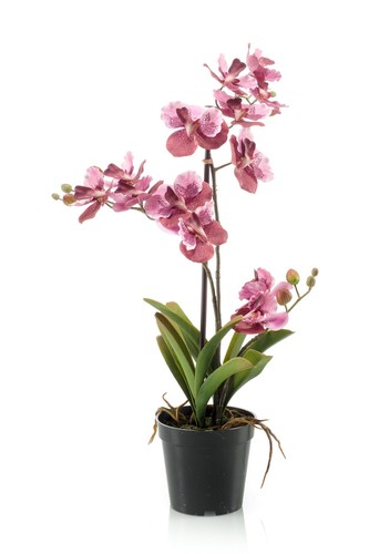 Artplants kunstorchidee vanda - artplants,