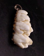 Seltener ausgefallener silbermontierter Zahnanhänger evtl. Bärenjagd etc Trophäe