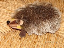 Steiff Hedgehog Joggi Igel