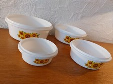 Plastik Dosen Set mit Deckel - 4 Stück