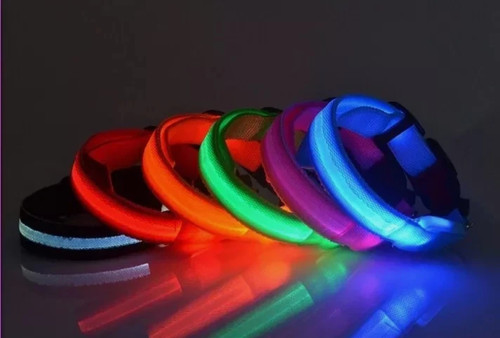 Led hundehalsband usb - led,
