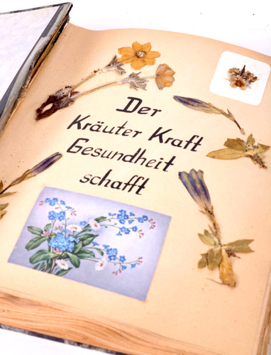 Vintage herbarium - vintage,