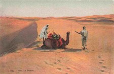 Kamele  Camel Chameau-- Le Desert 
