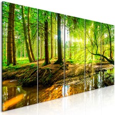 Sonne wald landschaft natur - landschaft,