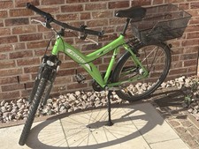 Pegasus Sante Grün He 26