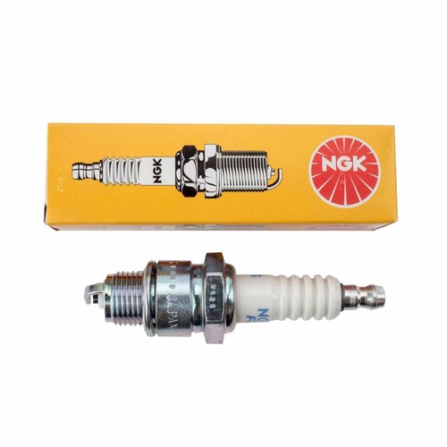Zündkerze ngk bpr7hs - zündkerze,
