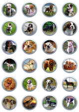 Wanduhr mit Hunde / Wölfe /