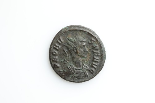 Probus aeternitati avg - probus,