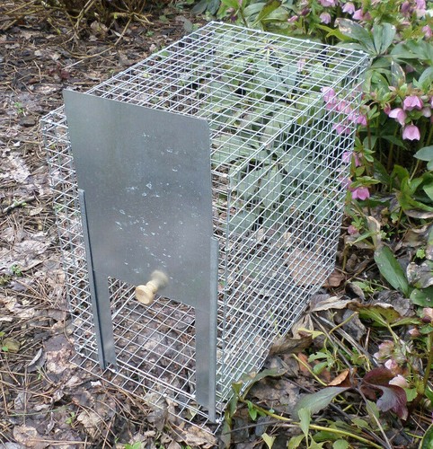Taubenfalle vogelfalle falle - vogelfalle,