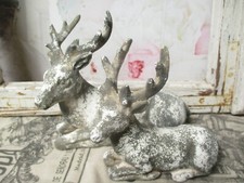 Elch Hirsch Tier Renntier