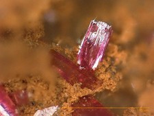 Roselit - Bou Azzer mining distr., Marokko