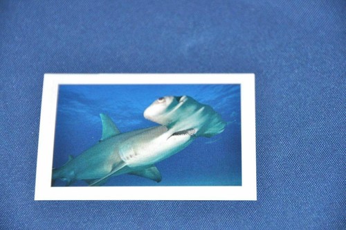 Rewe abenteuer tierwelt - rewe,