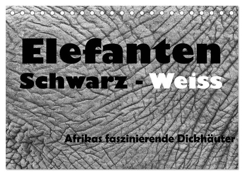 Elefanten schwarz weiss - elefanten,