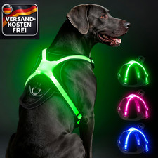 LED Hundegeschirr