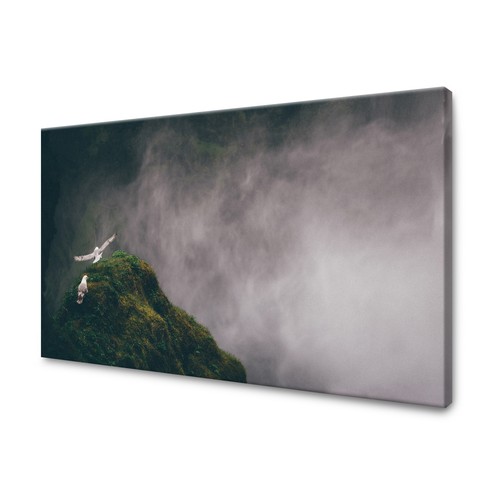 Leinwandbild natur - leinwandbild,