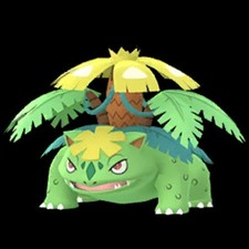 MEGA VENUSAUR  "1 RAID SRVICE"