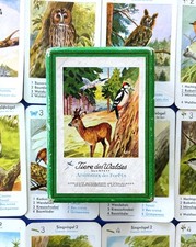 Bielefelder Spielkarten