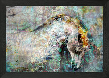 Sacred Spirit Framed Wall Art