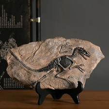 Kreative Dinosaurier Fossil