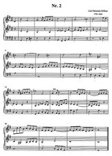 Kirchenorgel 5 leichte Orgeltrios Romantik Pfeifenorgel Noten Orgel Orgue