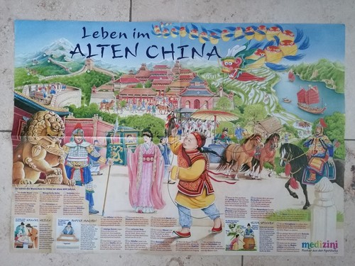 Medizini wissensposter leben - medizini,