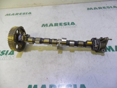 Nockenwelle fiat panda 169 - fiat,