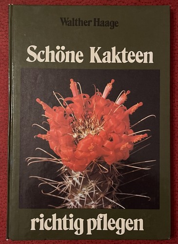Buch schöne kakteen - buch, richtig
