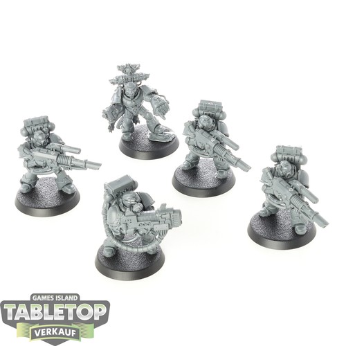 Space wolves 5x devastator - wolves,