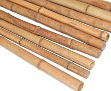 Bambusrohr 200cm gelbbraun Durch. 3 bis 4cm hitzebehandelt