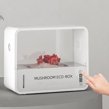 Pilzfruchtkammer, Pilzzuchtbox