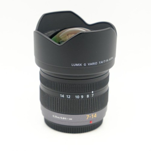 Panasonic lumix vario - g,
