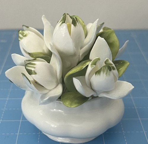 Royal albert snow drops - albert,
