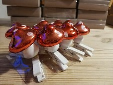 8 mal Fliegenpilz Pilz auf