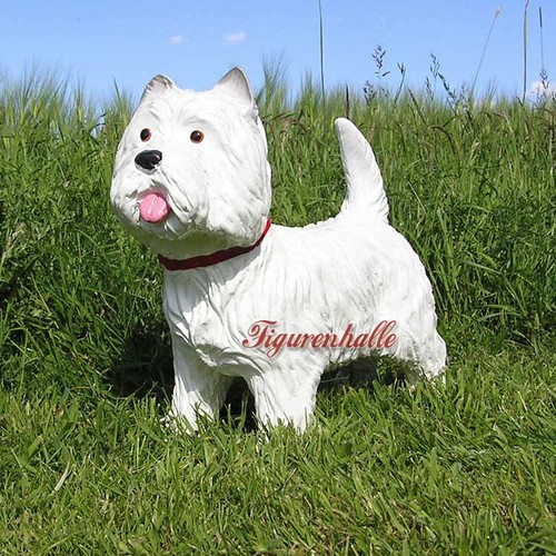 West highland terrier - west,