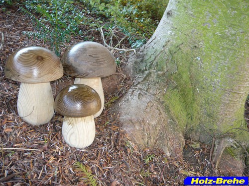 Garten dekoration fungi pilze - garten,