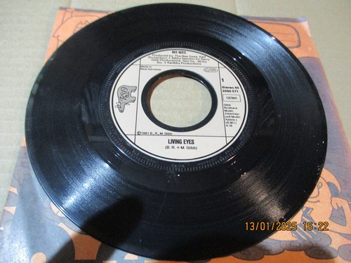 Single vinyl bee - vinyl,