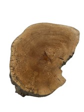 Platane Baumscheibe ca 36-55 cm 7 cm Dicke , Baumscheibe, Platane , Edelholz