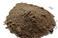 Pfifferlinge - pulver - 100 g