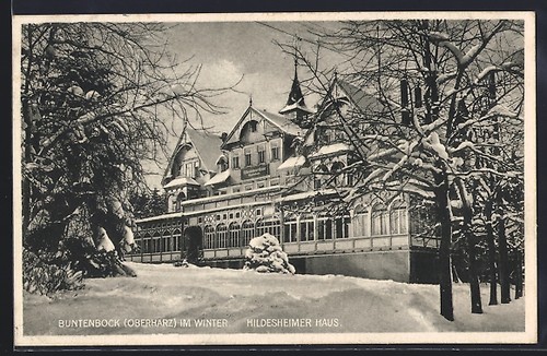 Buntenbock oberharz das - buntenbock,